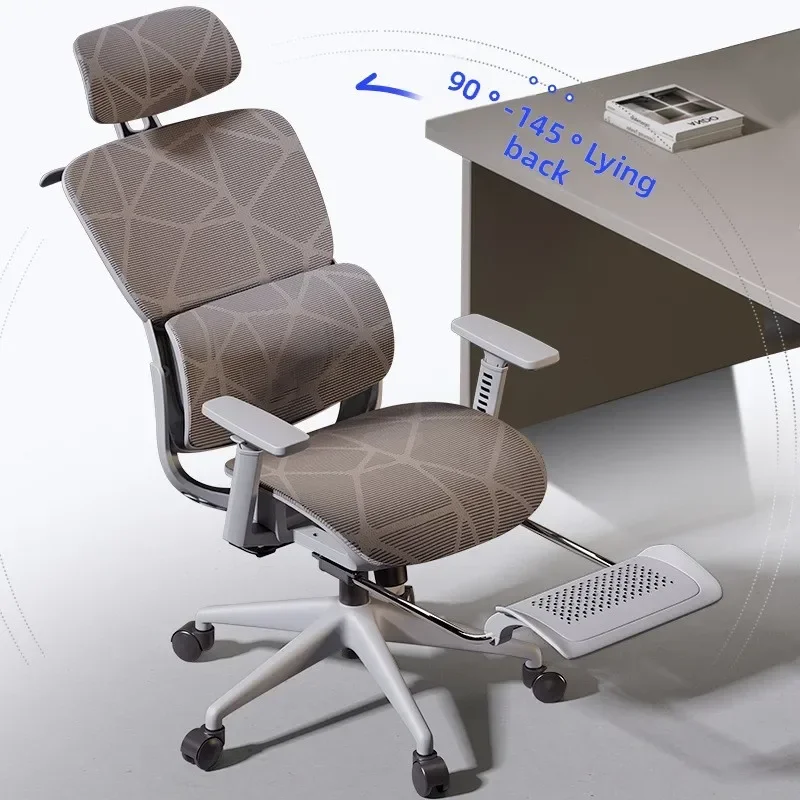 Stable Ergonomic Chair Home Co - Home Office Cozy review and price