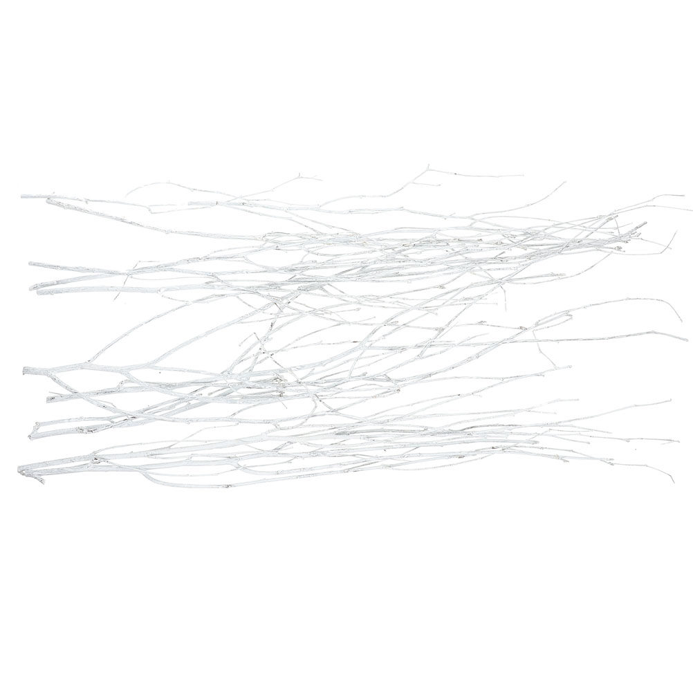 12Pcs Natural Small Twigs Drie - Home Office Interior Design review and price