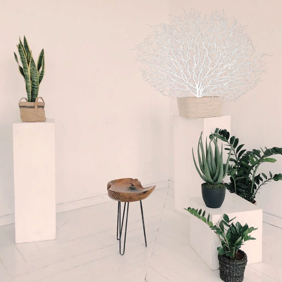 1Pcs Lifelike Plastic Coral Br - Home Office Interior Design review and price