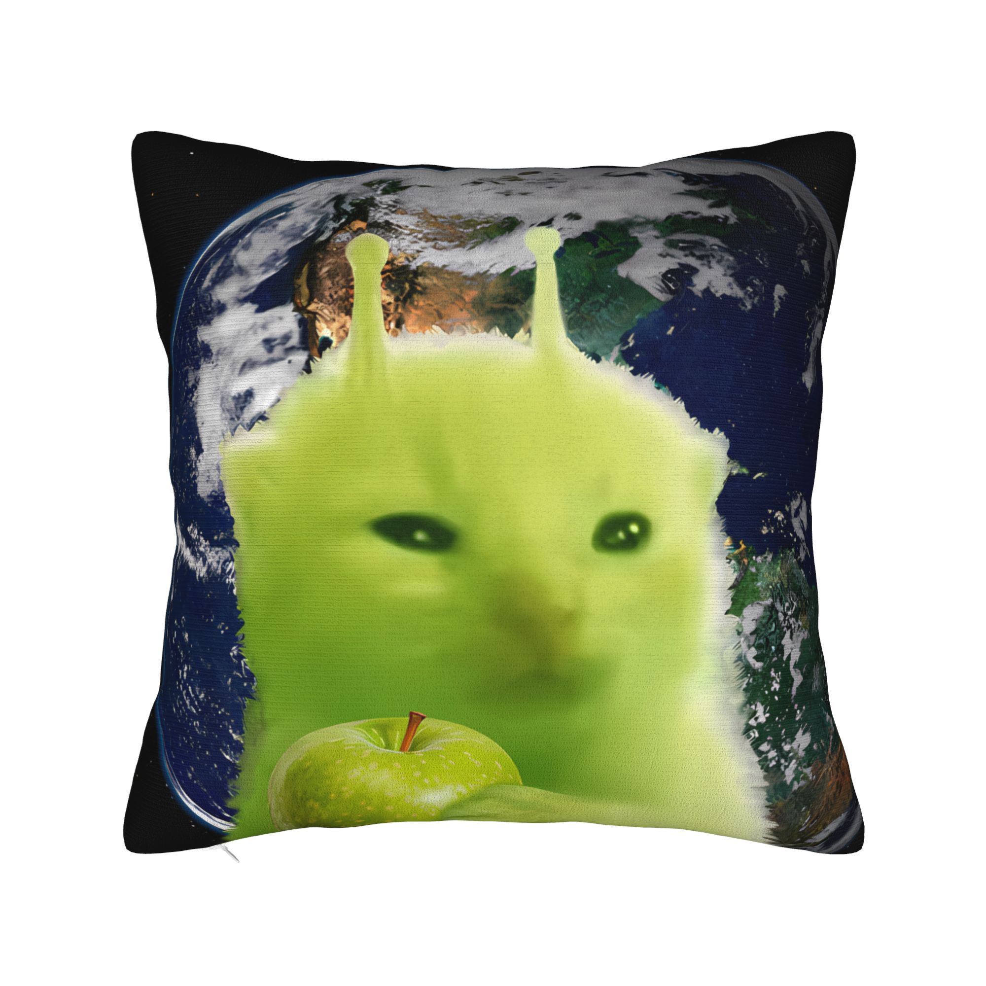 Green Alien Cat Meme Pillow Co - Home Office Design Ideas review and price